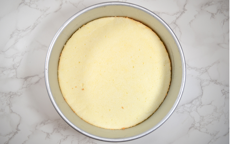 sponge cake